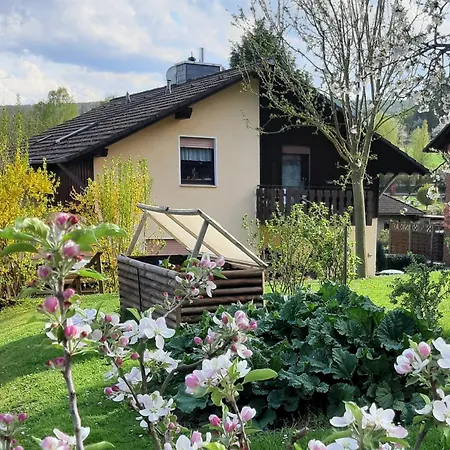 Soehreblick Apartment *